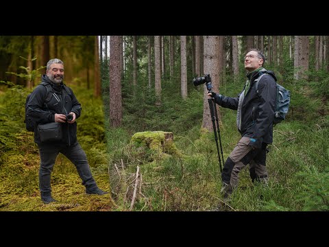 Natur und Portrait Fotografie im Wald | Lichtemotionist Tobias Ackermann