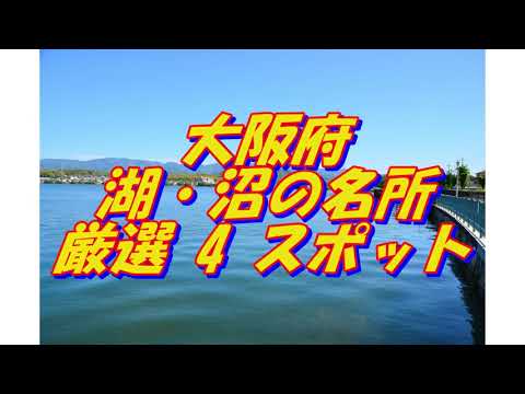 【大阪府】湖・沼の名所＜4選＞