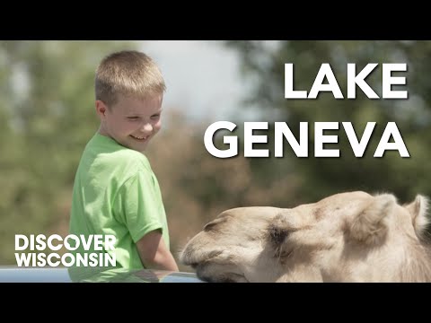 A Summer in Lake Geneva