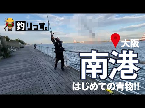 大阪・南港を攻める!! はじめての青物でウキウキ!! ルアーも泳がせ釣りも？