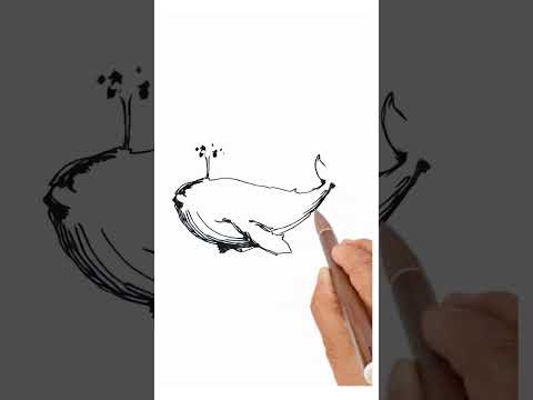 How to draw simple cute Whale.  #drawing #draw #painting I Chill how to draw