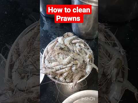 How to clean Prawns #shorts #shortsfeed #ytshort #youtubeshorts  #prawns #seafood #howtocleanfish