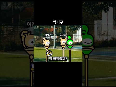 짝피구