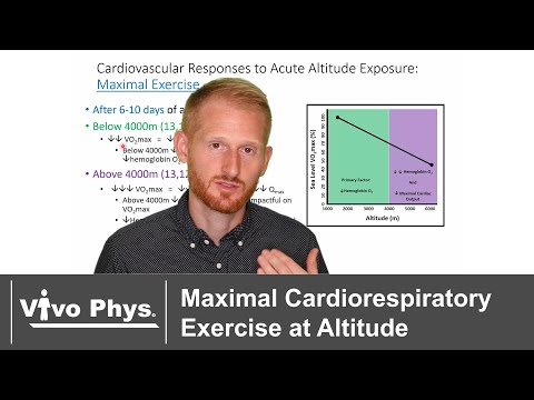 Maximal Cardiorespiratory Exercise at Altitude