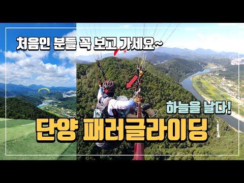 단양 패러글라이딩 완벽 리뷰 | 다이나믹 코스 체험 Full영상 | 안전한 비행 꿀팁 & 예약 가이드 | 국내여행