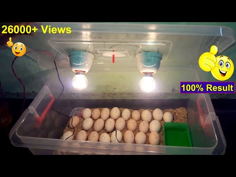 100% BEST HOMEMADE INCUBATOR FOR CHICKEN EGGS | HATCHING EGGS | DIY EGG INCUBATOR | YOU CAN DO THIS