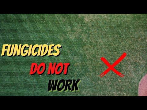 Top 2 Reasons YOUR Lawn Fungicides DO NOT Work