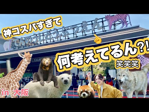 【無料かワンコイン】神コスパ‼️天王寺動物園でどれぐらい楽しめるか検証しに行ったらビックリした🔥🚶‍♀️🦒🦍🐑