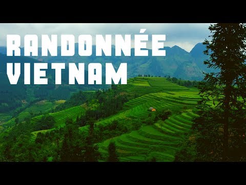 Voyage Nord Vietnam | Randonnée au milieu des rizières de Bac Ha et Sapa