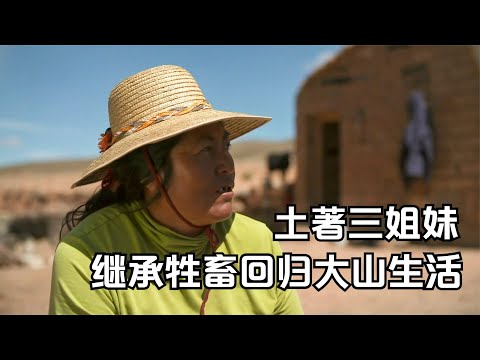 阿根廷三姐妹，继承母亲的土地和牲畜，回归大山过无忧无虑的生活