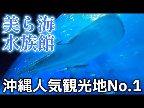 【沖縄旅③】美ら海水族館に行ってみた！【沖縄人気No.1観光地】