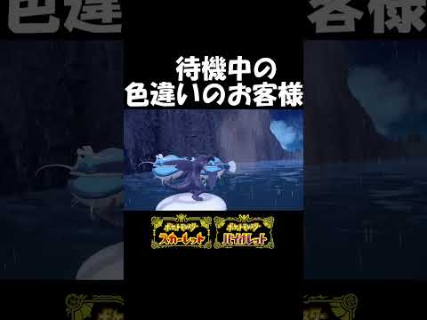 【ポケモンSV】待機中の色違いのお客様　#shorts