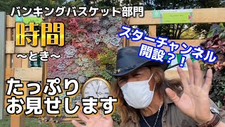 【多肉植物】スターチャンネル始まるよ⁉️たっぷり見せます👍