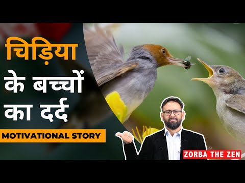 आख़िर क्यों छोड़ना पड़ा घोंसला 🤔| Motivational Story