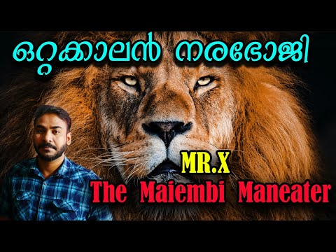 മരണം നദി നീന്തി വന്നപ്പോള്‍|mr.x|the maiembi maneater|nia tv|noyal idukki|hunting story|വേട്ടക്കഥ|