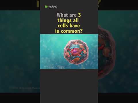 1 Minute Biology Quiz - 3 things all cells have in common?