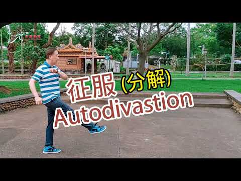 【元宏排舞教室】分解-24-2 征服 排舞 / Autodivastion line dance