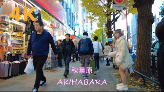 【4k】Tokyo walk-Akihabara🧸土曜日の秋葉原を散歩