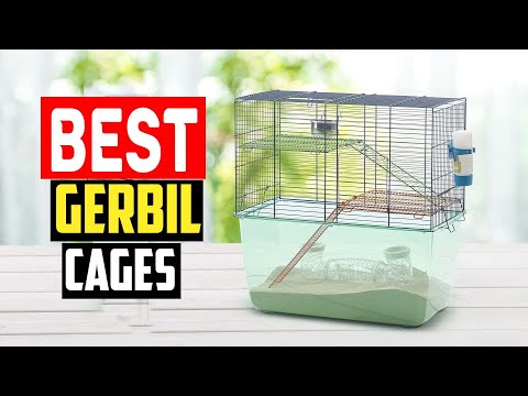 ✅Best Gerbil Cages in 2023