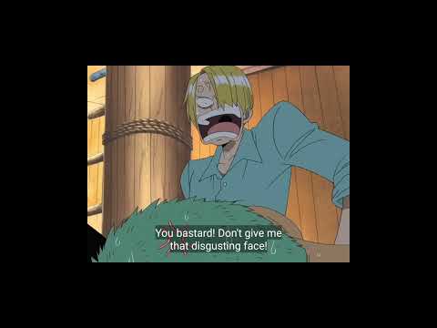 zoro & sanji bromance