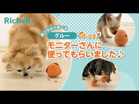 グルー｜モニターレポート【リッチェル公式 ペット用品】