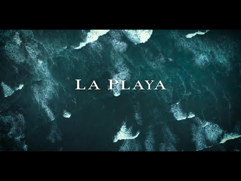 La Playa “Wine with Purpose  ”     ラ・プラヤ “目的を持ったワイン”