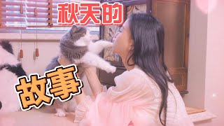 猫猫吃饱饱，脑袋没烦恼#joan琼琼