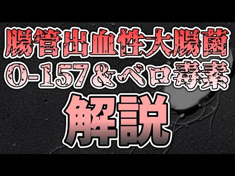 ゆっくり毒物vol.35 O-157＆ベロ毒素【ゆっくり解説】