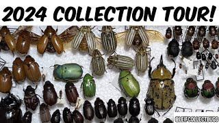 2024 Annual Bug Collection Full Tour!