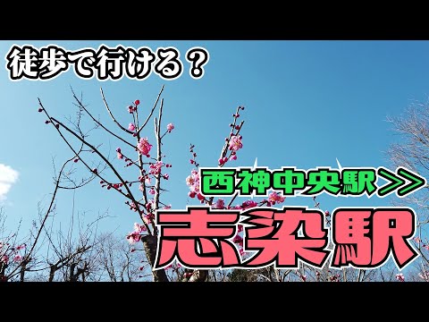 ぶらり #91 【オモロい感じで歩こう】西神中央駅～志染駅