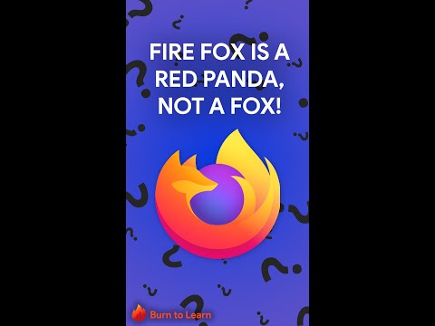 Firefox is a Red Panda, not a fox!