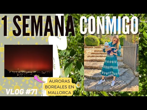 Jardines de Alfabia - BUNYOLA 🌸🌿⛲️ | Primavera en MALLORCA | Vlog #71