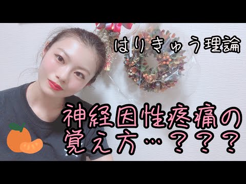 【はりきゅう理論】神経因性疼痛の覚え方…？？？【Biancaなざと】