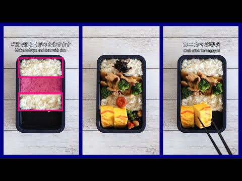 How to pack Japanese Bento🍱 Rice Magic Bento Lunch Box #1