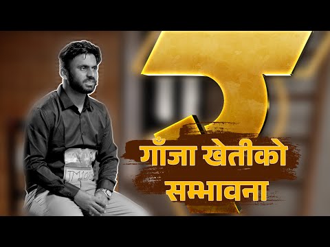 गाँजा खेतीको सम्भावना | Cannabis Cultivation | Contestant Nawaraj Dawadi | RAW: Revolutionary