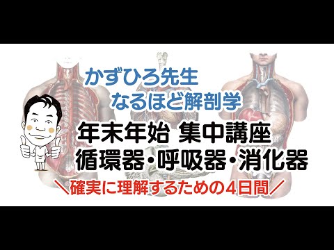 かずひろ先生【なるほど解剖学】年末年始集中講座 全4回（循環・呼吸・消化器系） プリント紹介