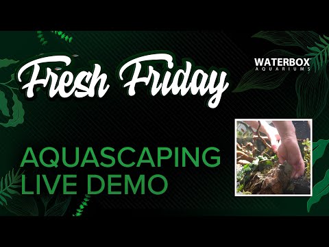 Aquascaping Demonstration with James Plemmons