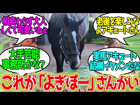 ワンダーアキュート ← Yogibo愛好会にまた一頭加わる…に対するみんなの反応！【競馬 の反応集】