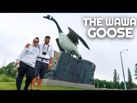 A GIANT GOOSE and The Birthplace of WINNIE THE POOH | Cross Canada Van Life Road Trip | Ontario