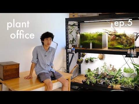 Apartment Makeover 🏡 ep. 5 - plant office, vintage, small business