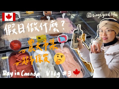 Vlog｜Days in Canada🇨🇦no.3｜假日逛農夫市集🧑‍🌾、第一次喝加拿大的珍奶🧋、第一次自己過年於是超市大採購幫自己辦年貨🧨、回收飲料罐還有錢可以拿?!♻️