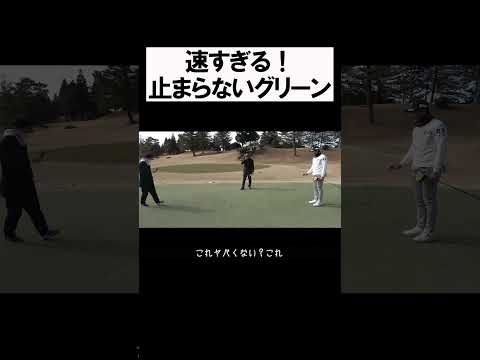 止まらない激速グリーン #shorts  #golf #矢野東 #男子プロ #ゴルフ #パター #グリーン #大西ライオン #井上莉花