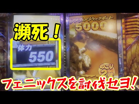 【瀕死】瀕死状態のフェニックスを討伐セヨ！　【フォーチュントリニティ5】