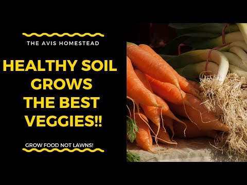 Healthy Soil Grows Tasty, Nutrient Dense Veggies! Permaculture soil formation.