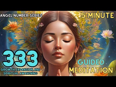 333 Meditation | Manifest Your Dreams | 5 Minute Guided Meditation for Angel Number 333 Alignment