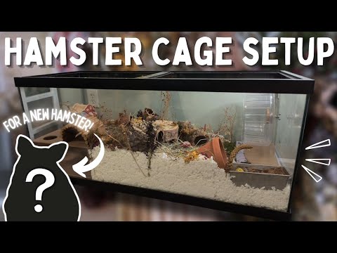 SETTING UP a HAMSTER CAGE for a NEW HAMSTER! 🐹🌱 // natural and enriching, adopting a hamster