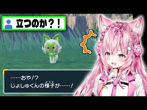 【ポケモンSV】ニャオハを進化させたこよりの反応【博衣こより/ホロライブ切り抜き】