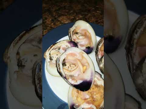 raw quahog #rawseafood #seafood #foodie #shorts