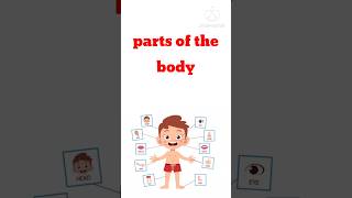 parts of the body | body parts name for kids | parts of the body song| #shorts