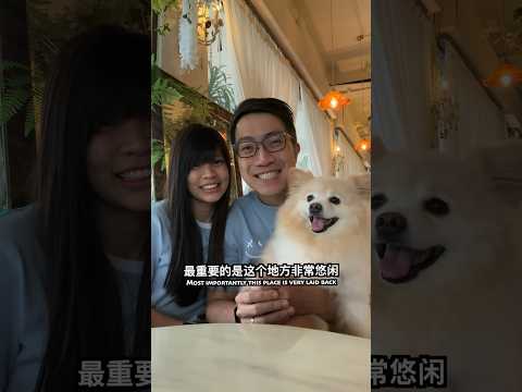 Visiting "Cafe de Nicole's Flower" at Telok Kurau Road!! Pet-Friendly!! || 光临花花世界的狗狗友好咖啡厅!!